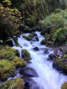 Multnomah Creek in the Columbia River Gorge by Shannon Wilkinson
