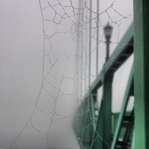 Dewy spider web on the St. Johns Bridge disappearing into the fog - Portland, Oregon