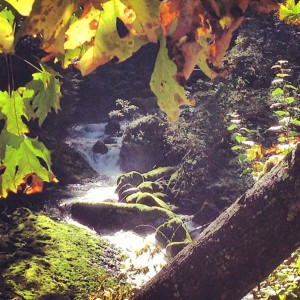 Hiking in the Columbia River Gorge during Fall.